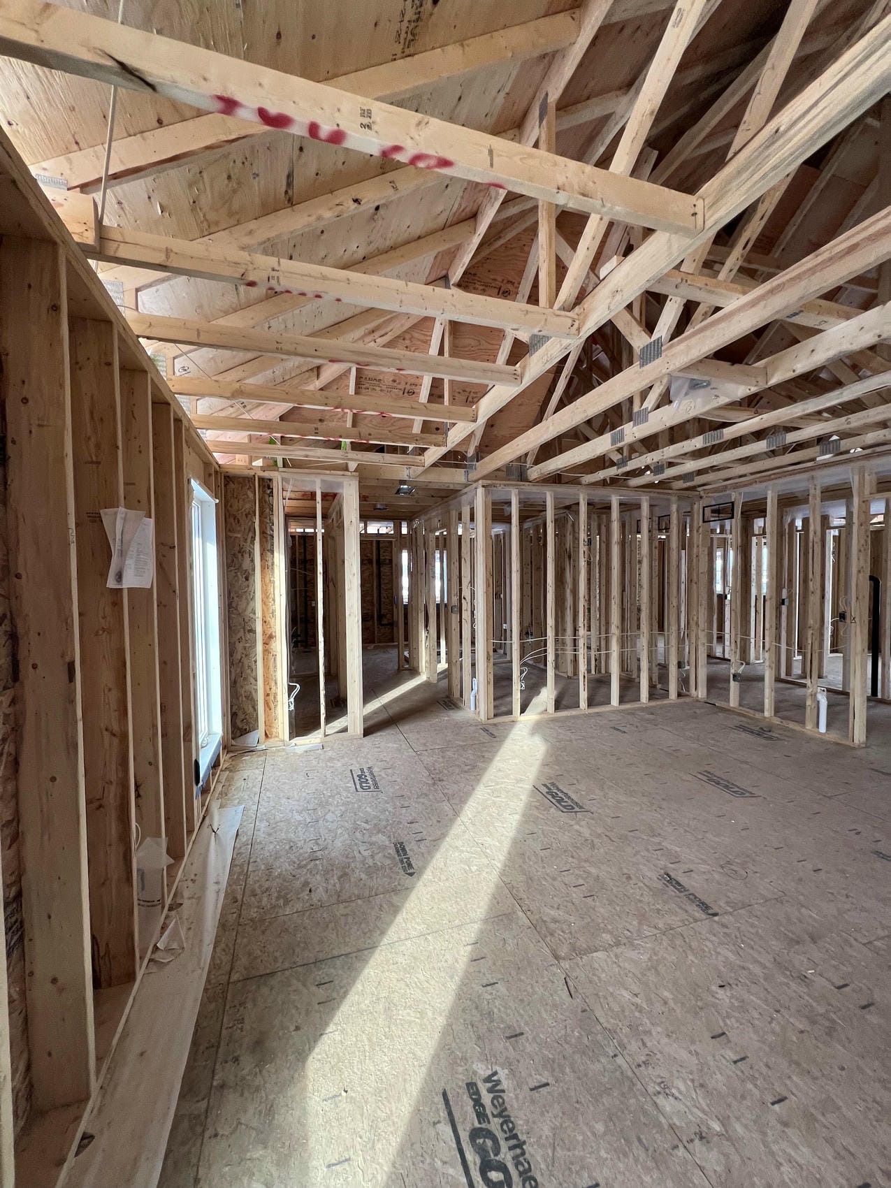 Interior partition wall framing and roof trusses in Niagara