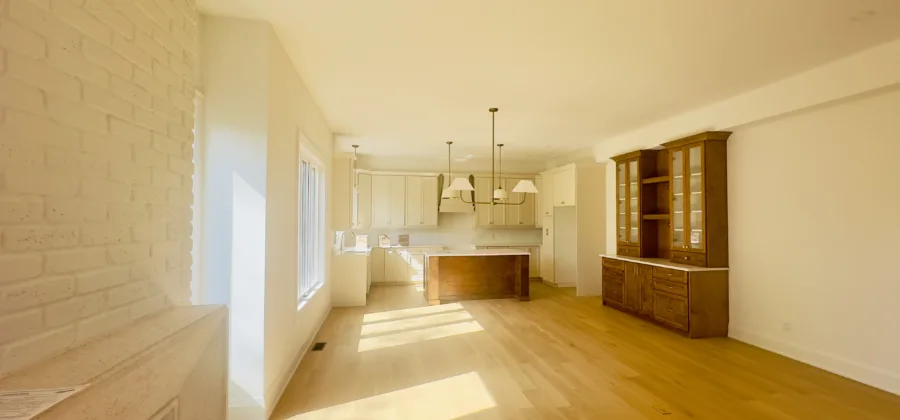 Modern Interior Renovation